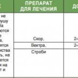 Obrada stabala jabuke od krastavosti u proljeće, ljeto i jesen